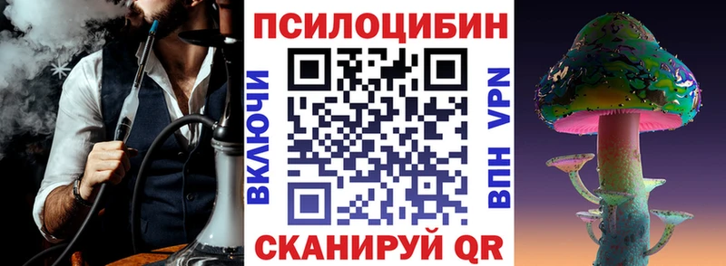 Купить закладки  Новотитаровская  Галлюциногенные грибы GOLDEN TEACHER 